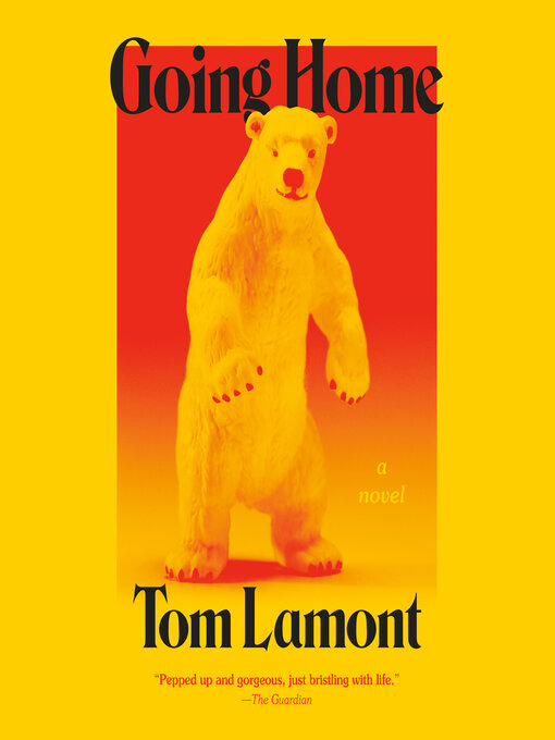 Title details for Going Home by Tom Lamont - Wait list